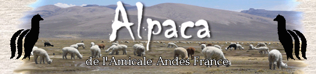 Amicale Andes France
